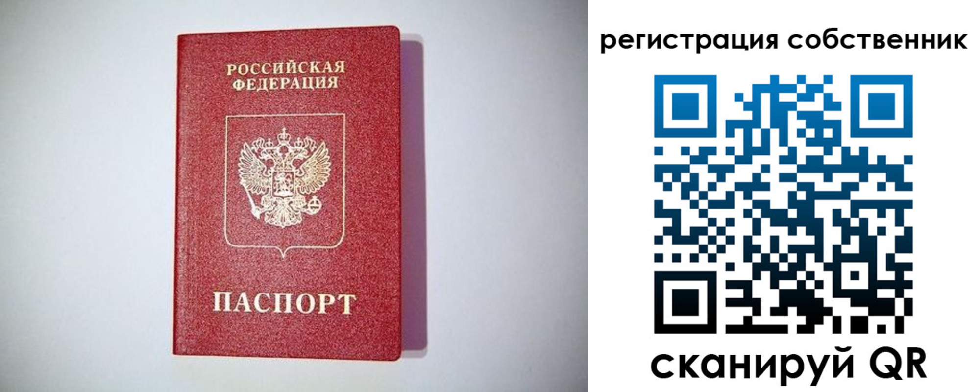 временная регистрация для школы в Сураже